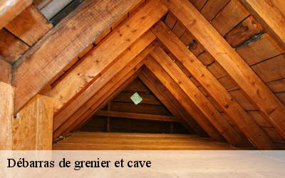 Débarras de grenier et cave  33570
