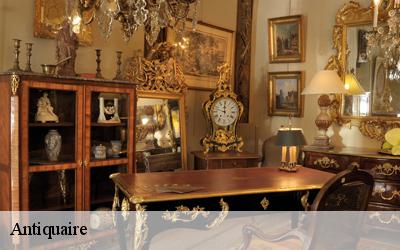 Antiquaire  33540